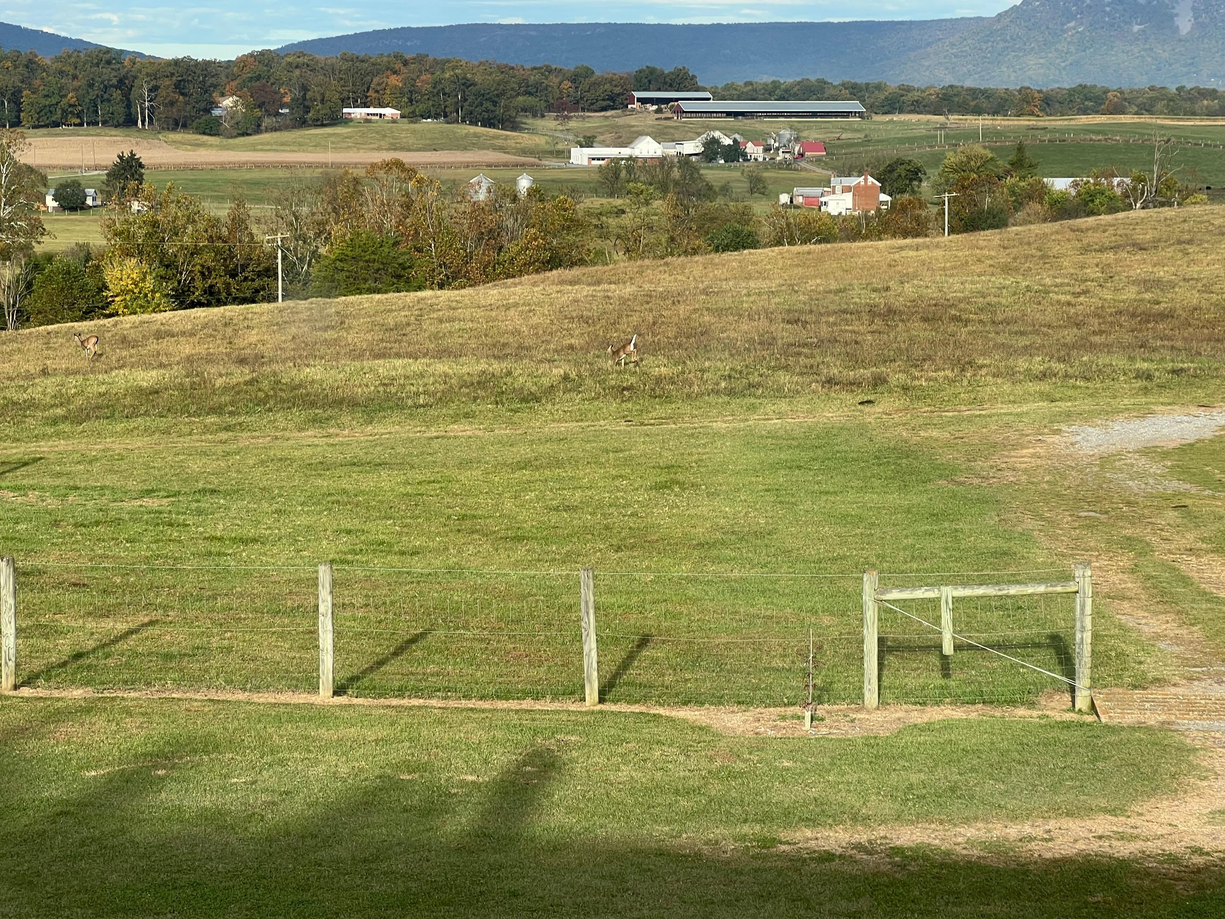 Morning view out front window
