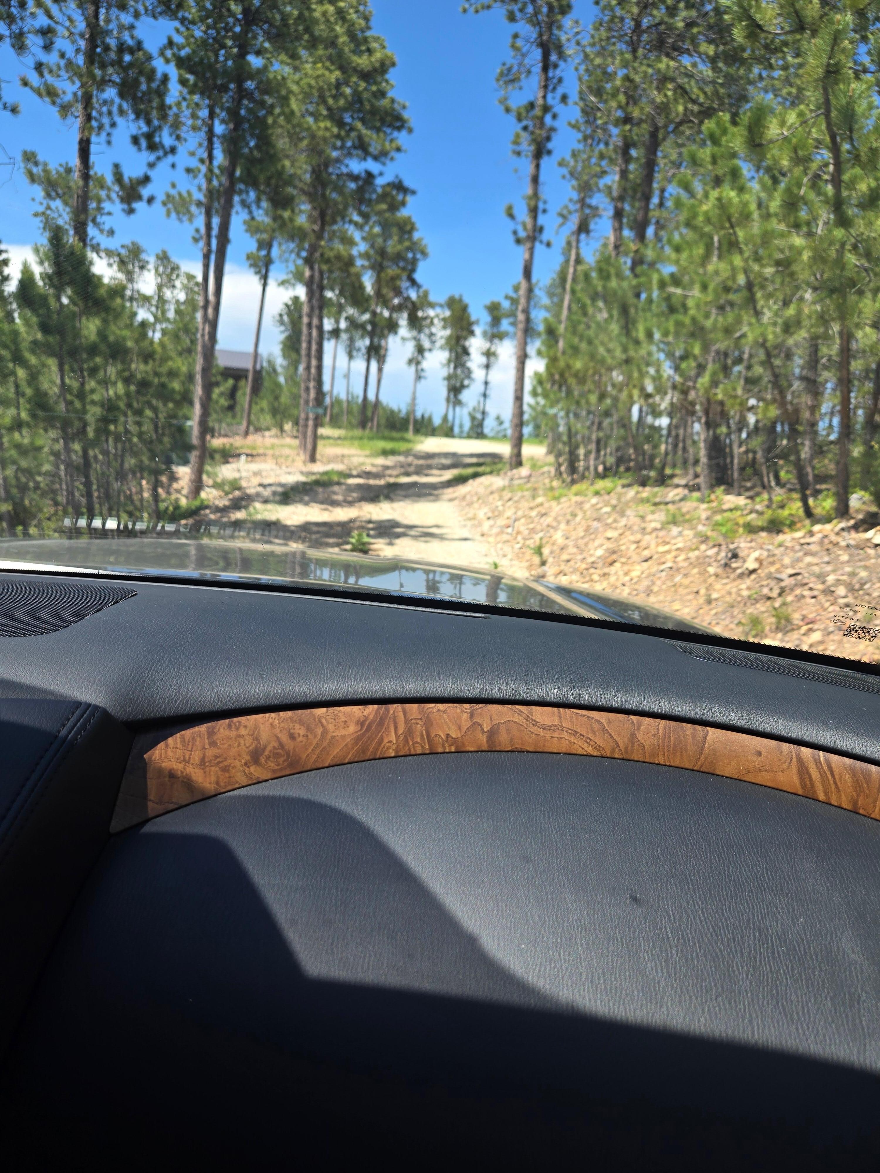 Low maintence road. Dumb gps😉