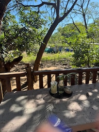View from back Veranda