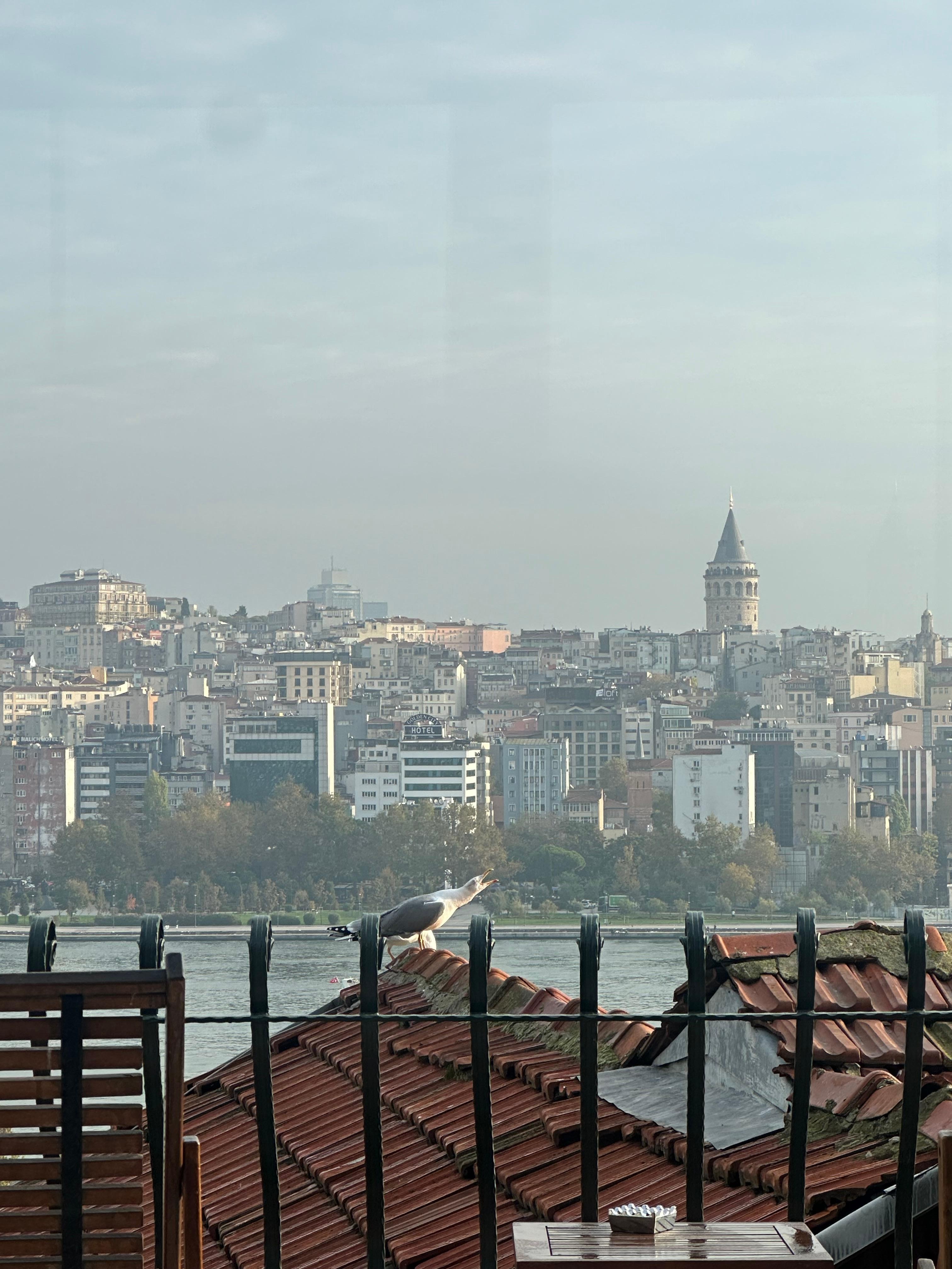 View early morning, before sunrise