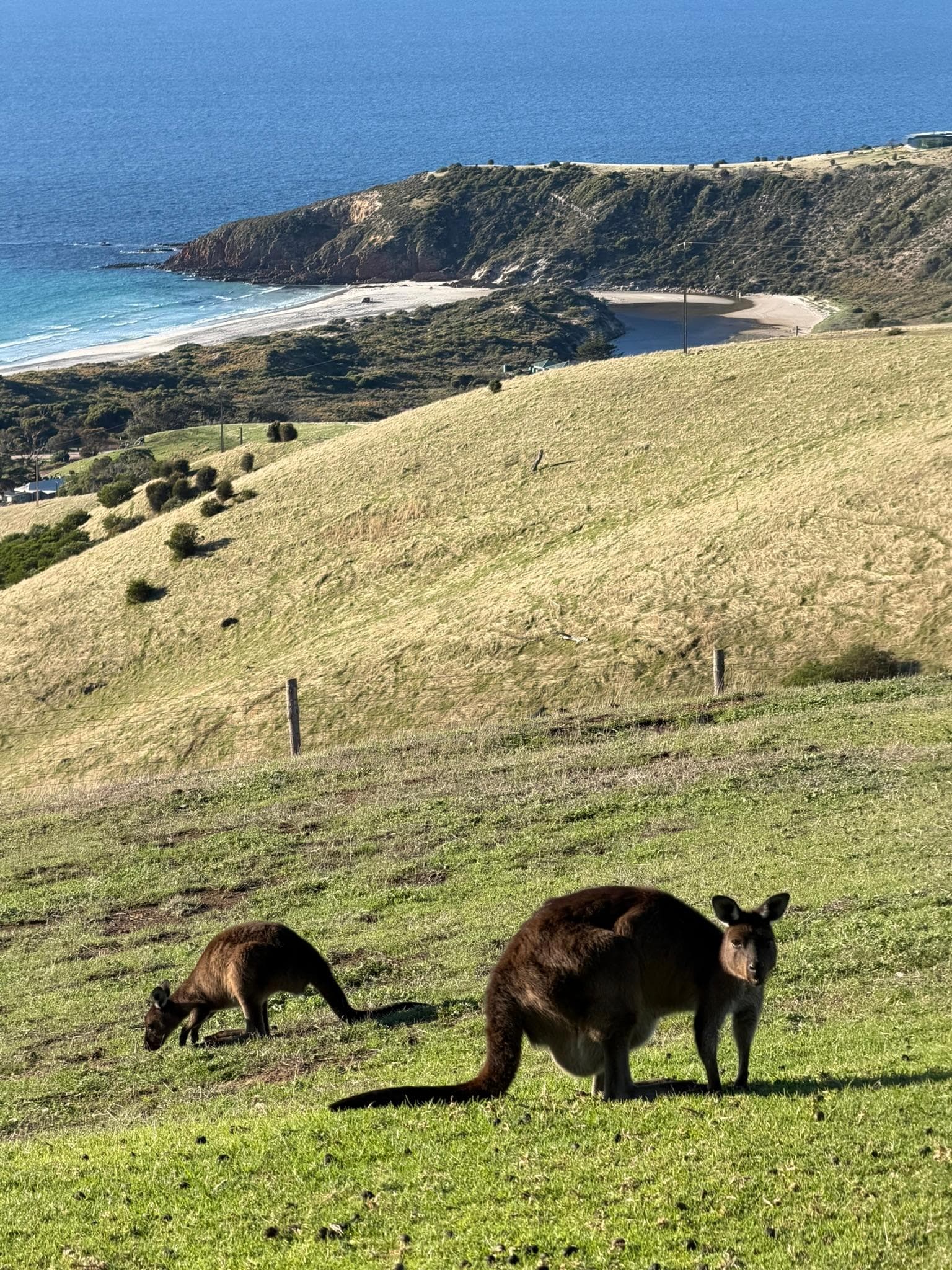 Classic view with Snellings Beach in the background