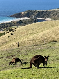 Classic view with Snellings Beach in the background