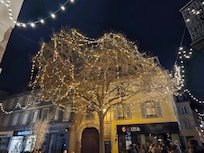 Vor dem Fenster im Wohnzimmer, zauberhaft