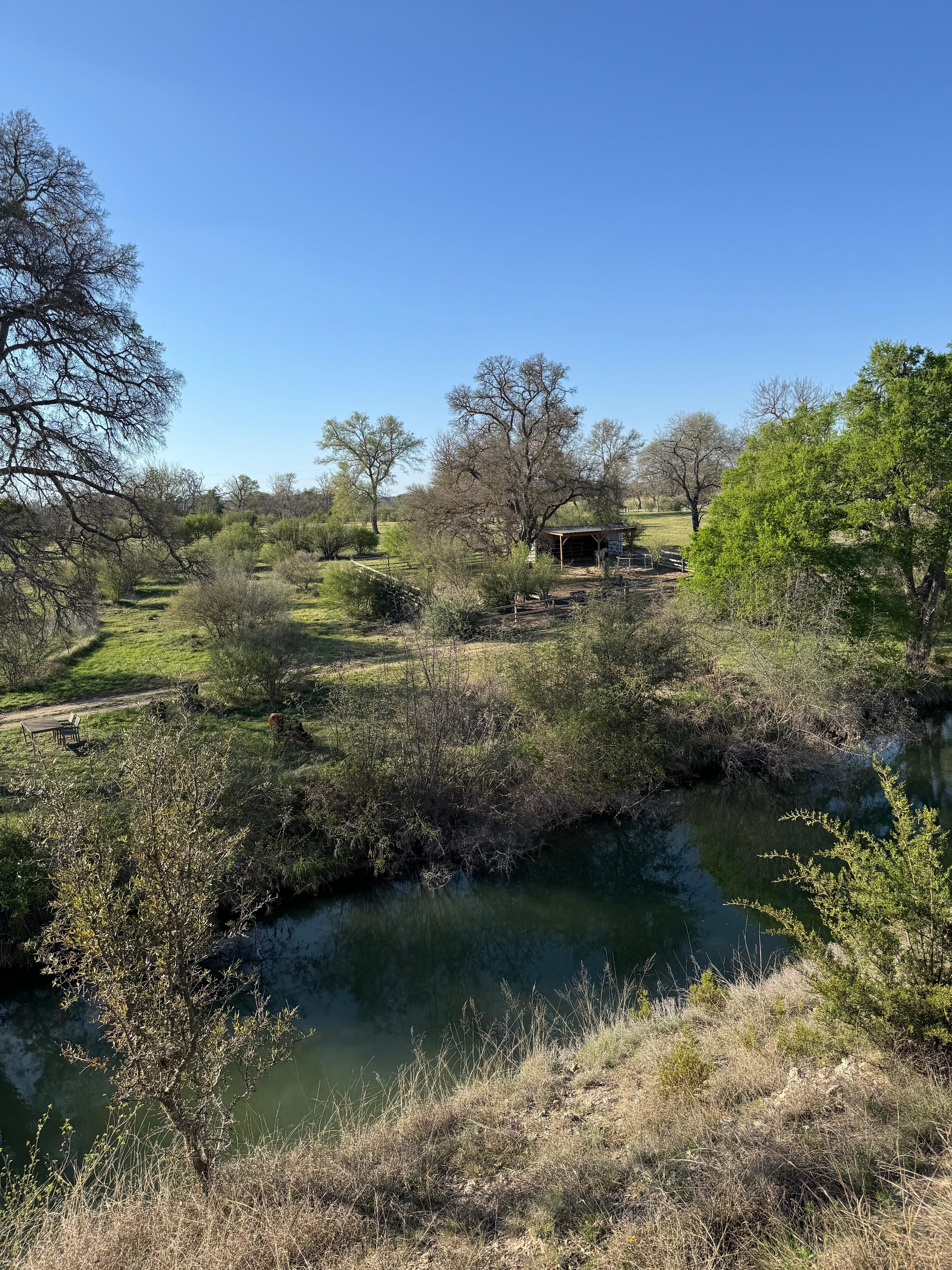 View from the back deck