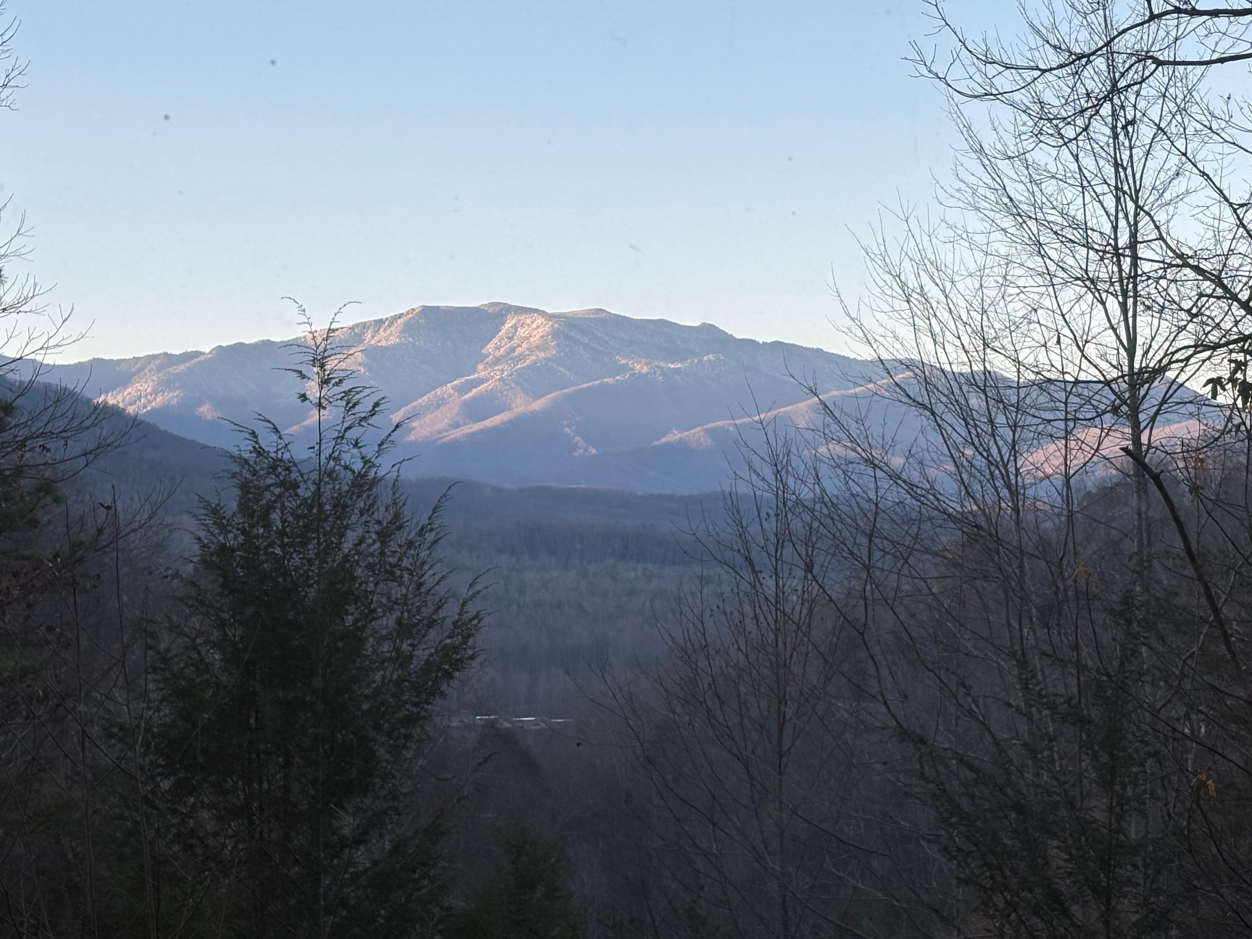 View from the bedroom 