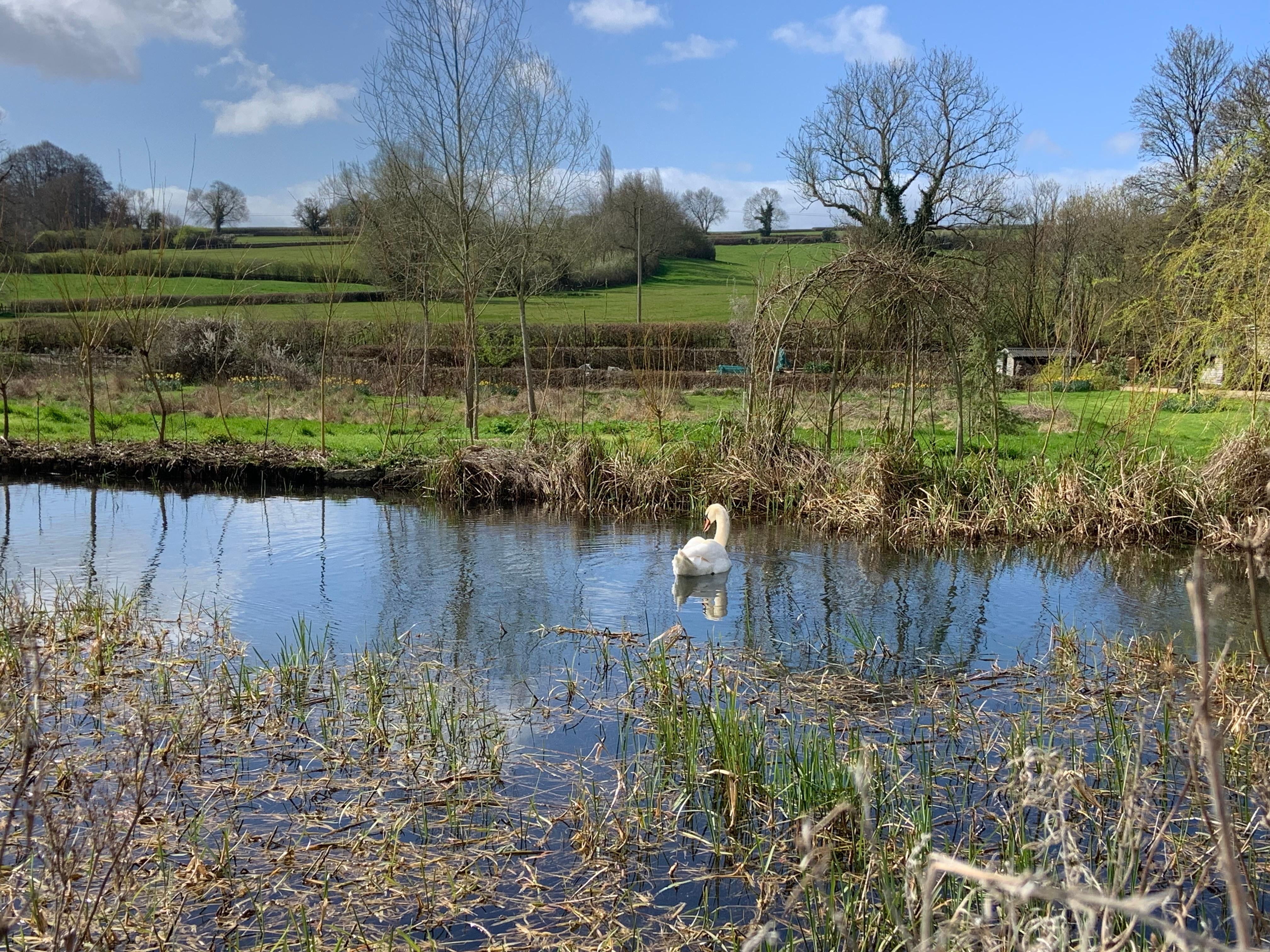 Walking along the river 