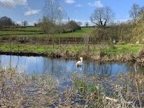 Walking along the river