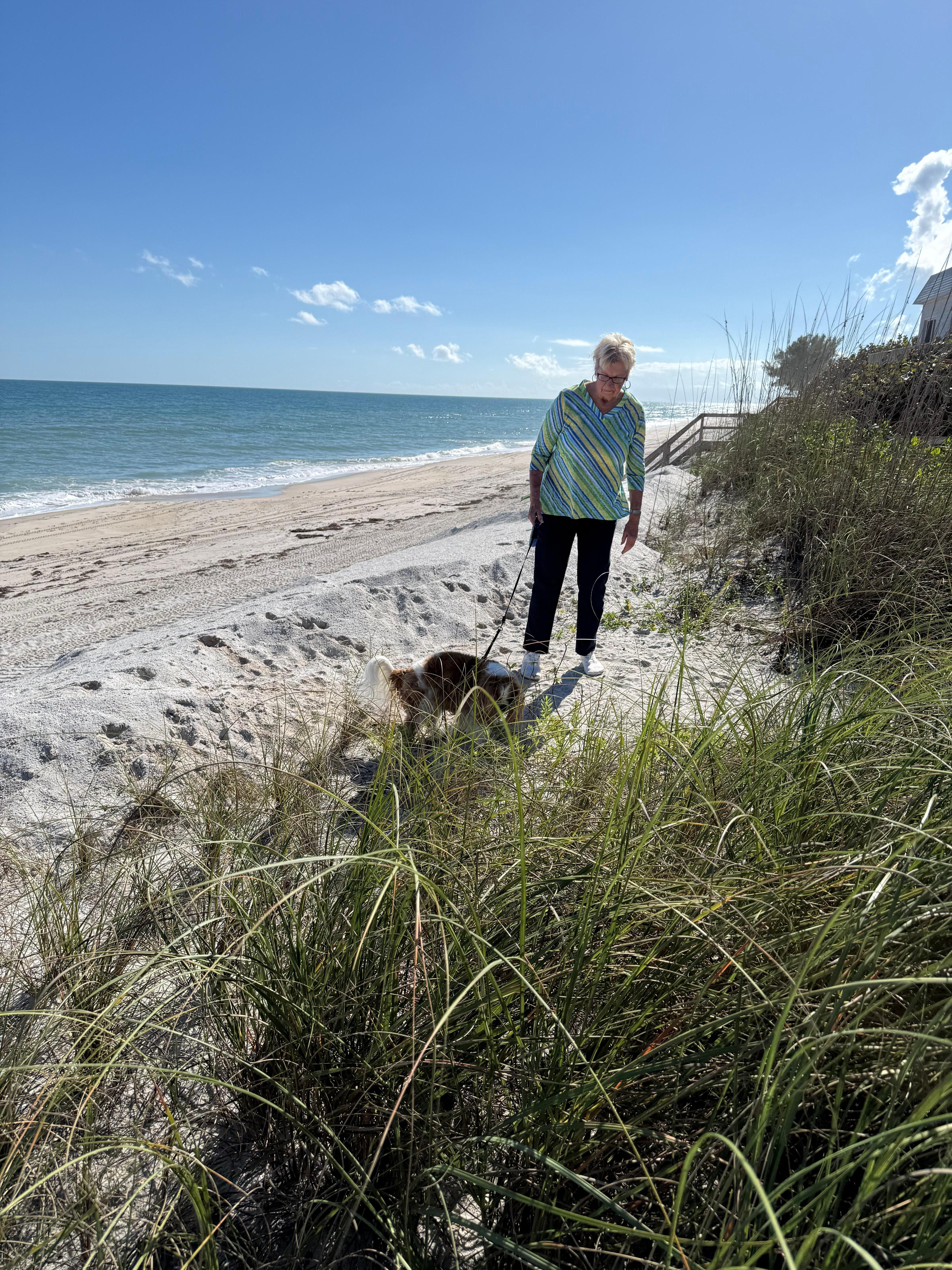 Dunes 20 feet from house
