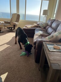 Matteo playing in the open living area