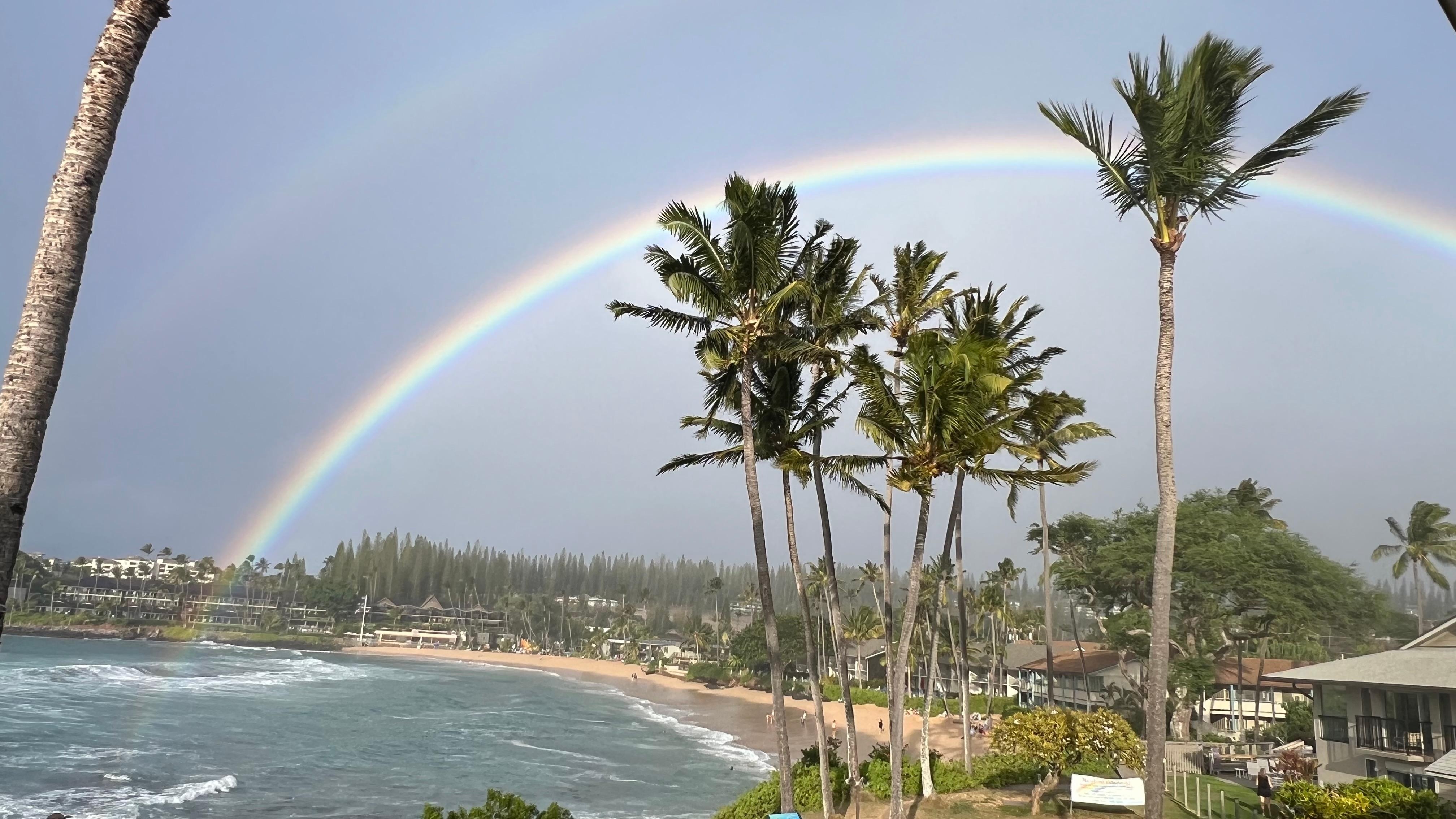 Rainbows in paradise 