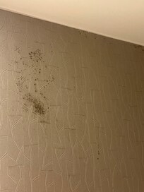 Mold in bathroom
