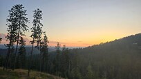 A view from the back deck.
