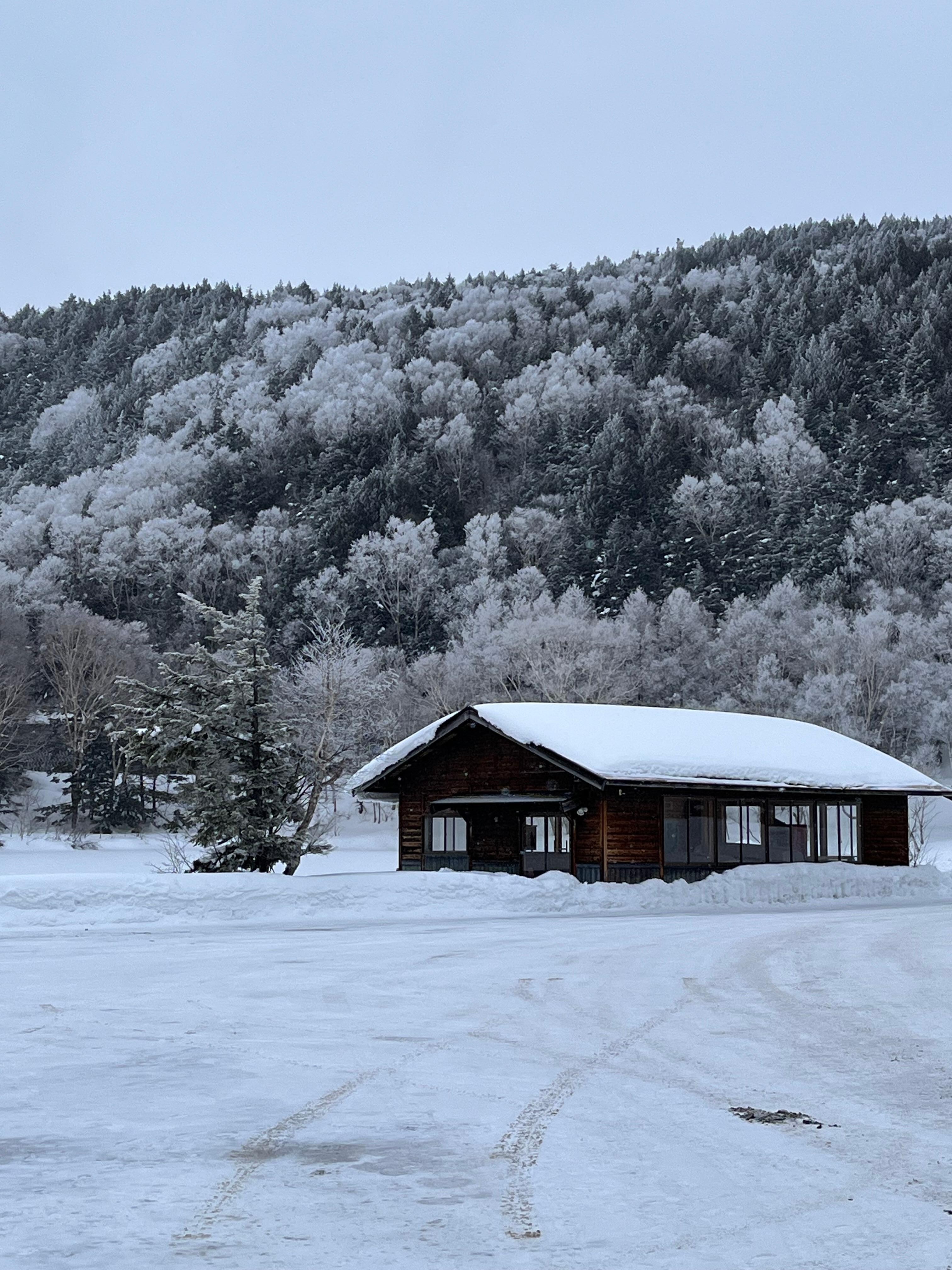 Beautiful winter scene looking out from the hotel.