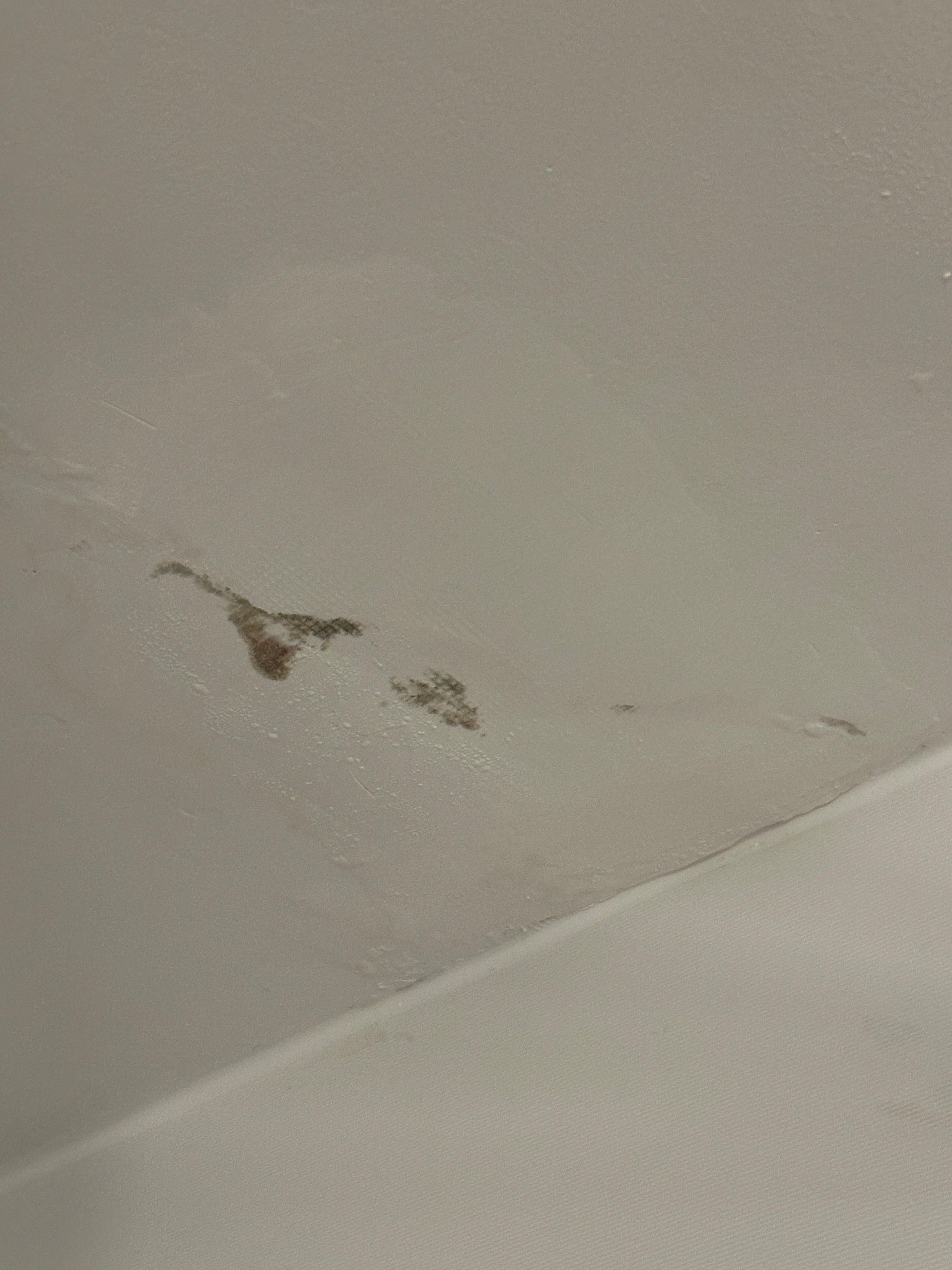 Mold or staining on ceiling in bathroom 