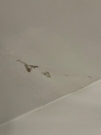Mold or staining on ceiling in bathroom