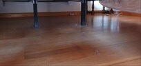 Unter den Betten. Hier wurde definitiv nicht gereinigt. Reinigungsgebühr 160 Euro.