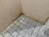 Dirty new Showers