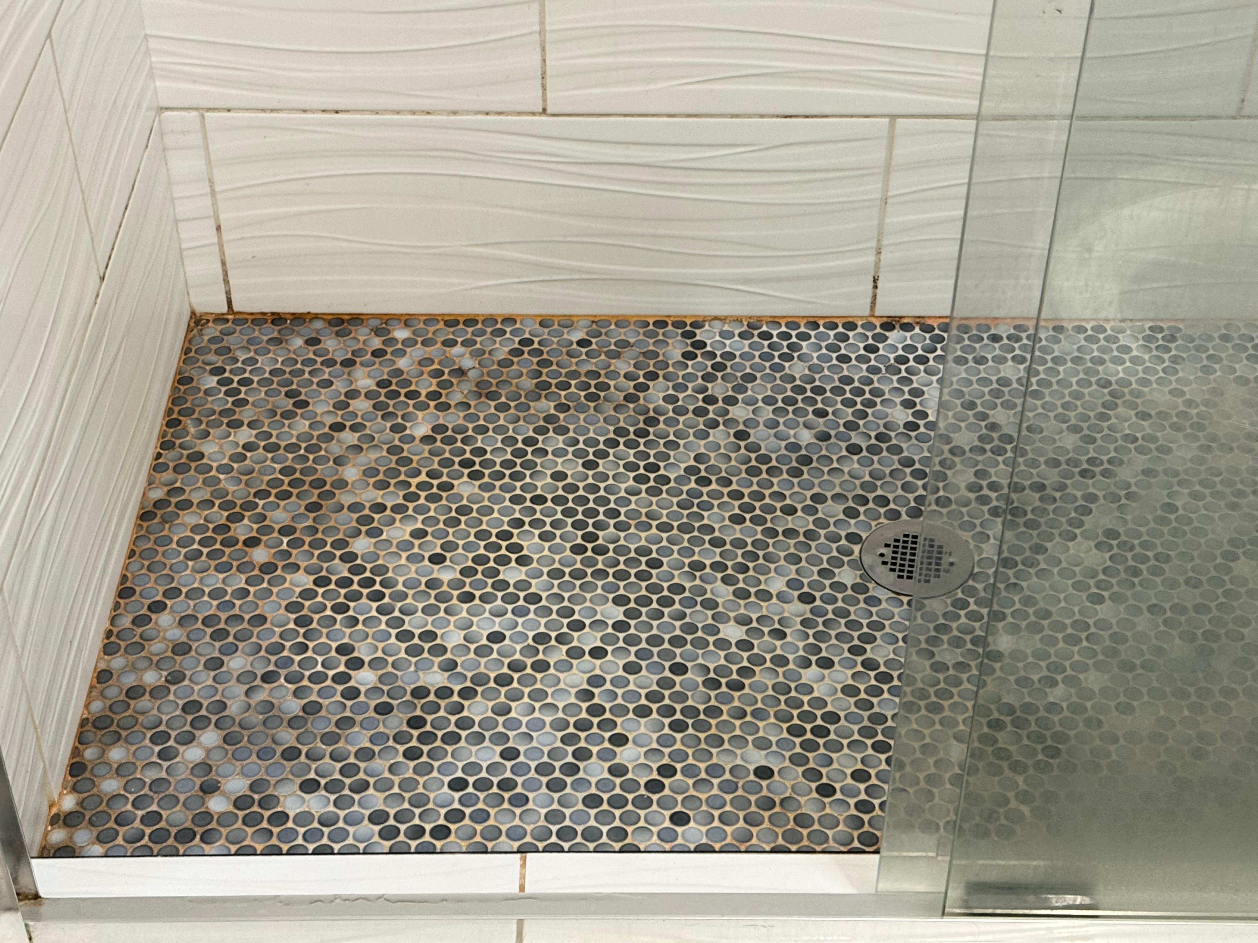 Mold in shower 