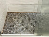 Mold in shower
