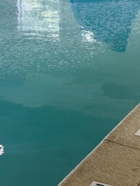 Scum on top of pool