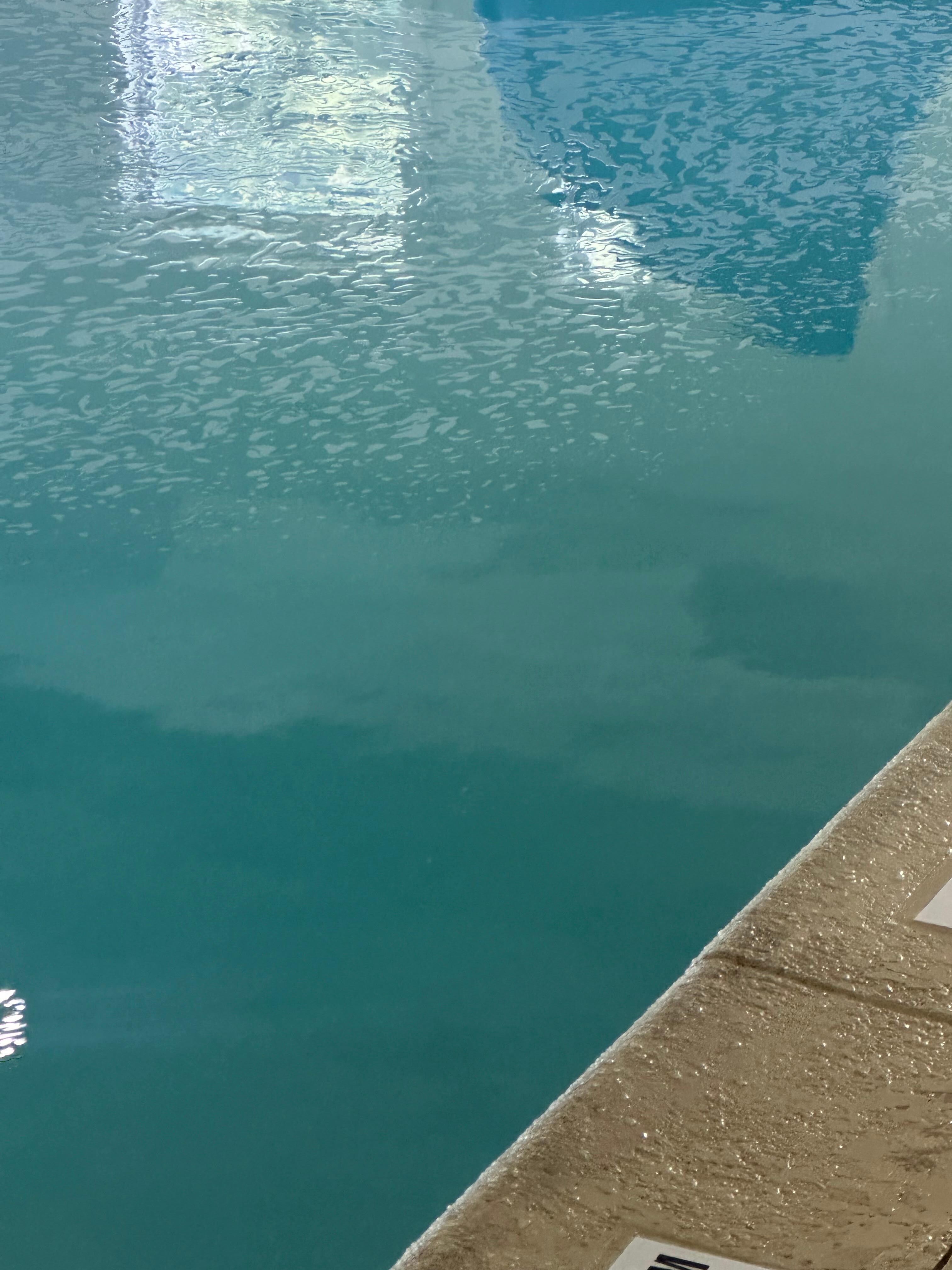 Scum on top of pool