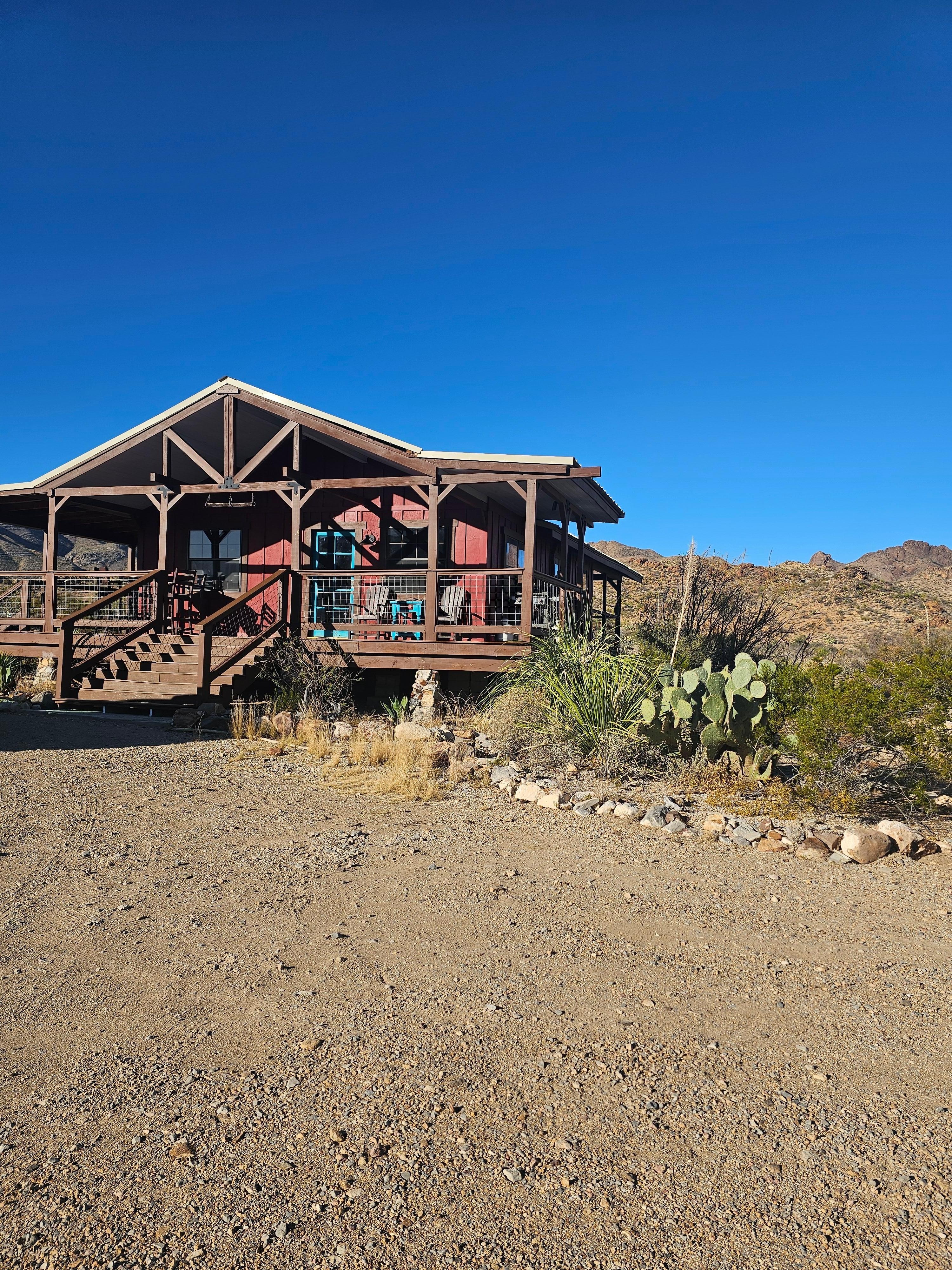 View of the house and backyard 