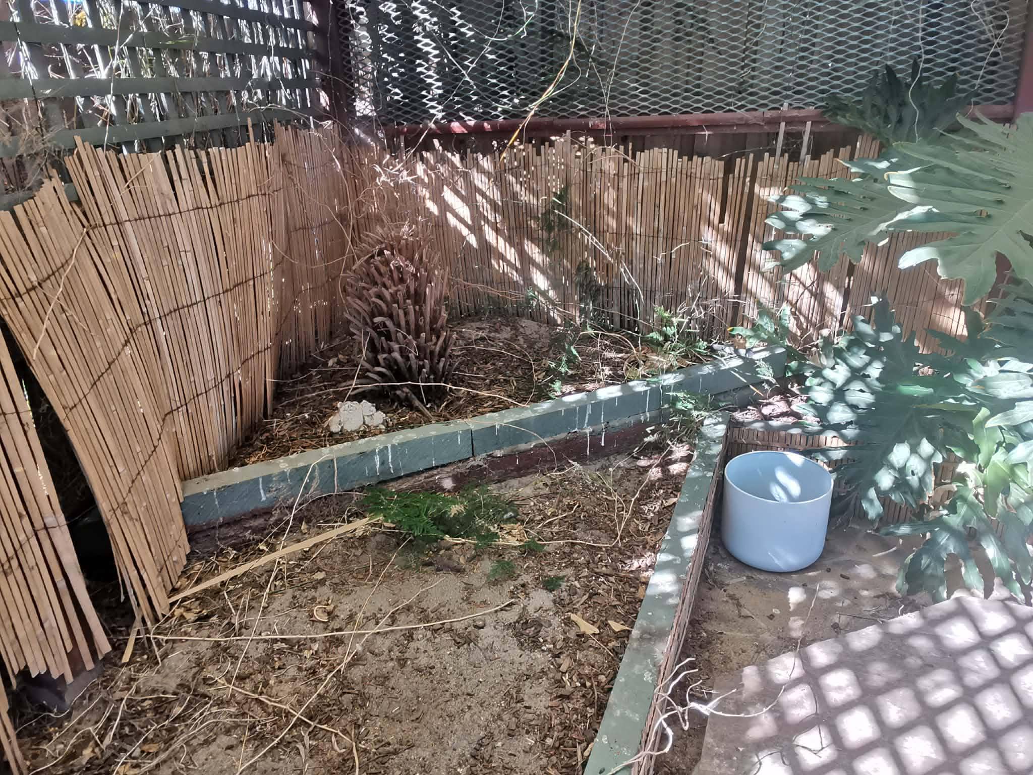 Poor condition of outdoor area 