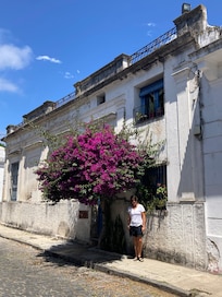Bougainvilleas abound in old town Colonia.