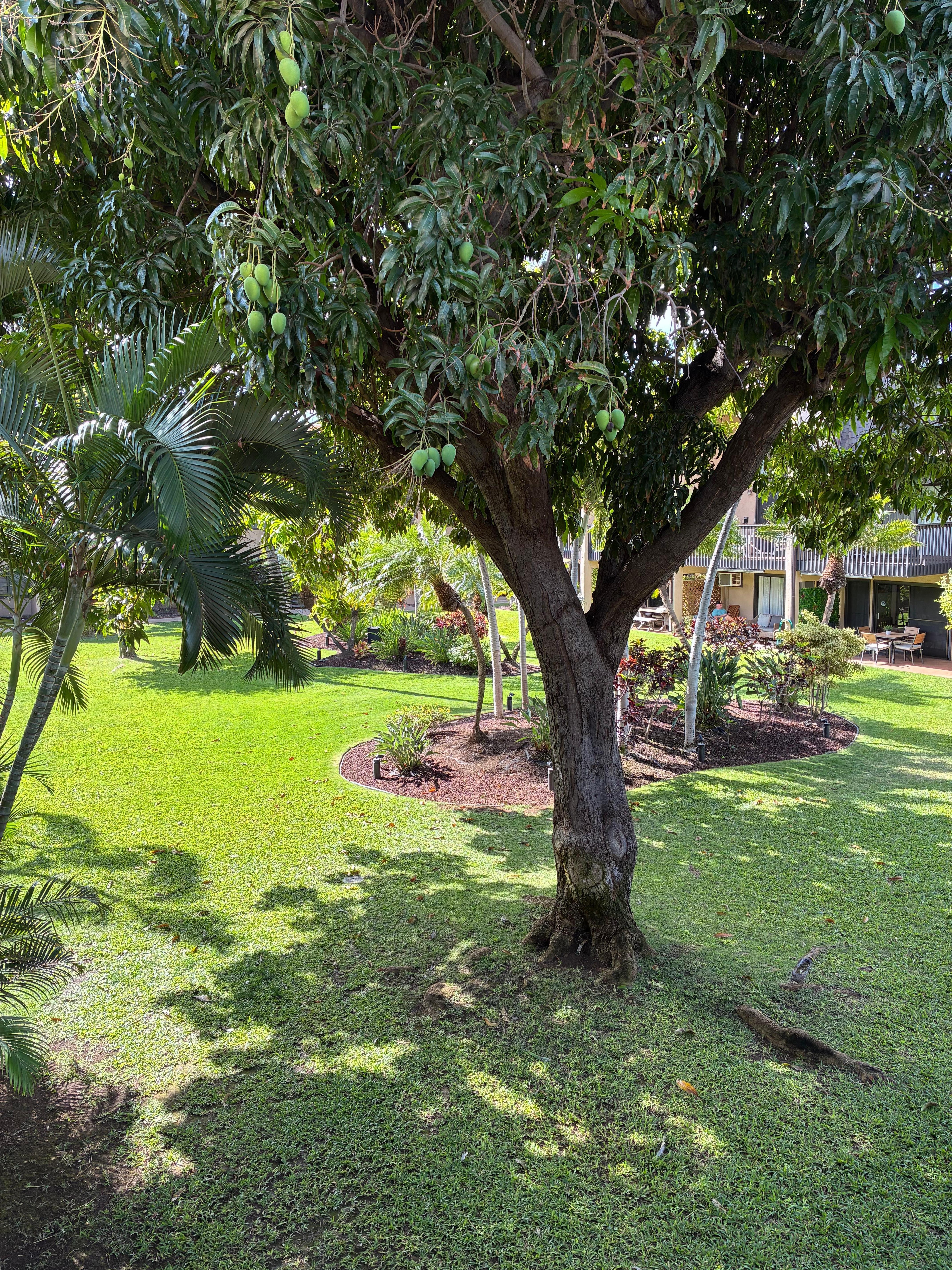 View from the balcony. 