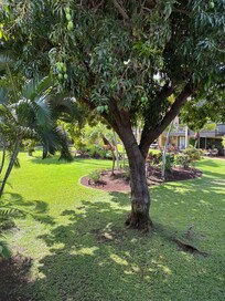 View from the balcony.