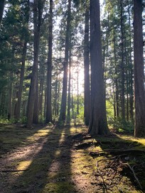 大斎原の参道