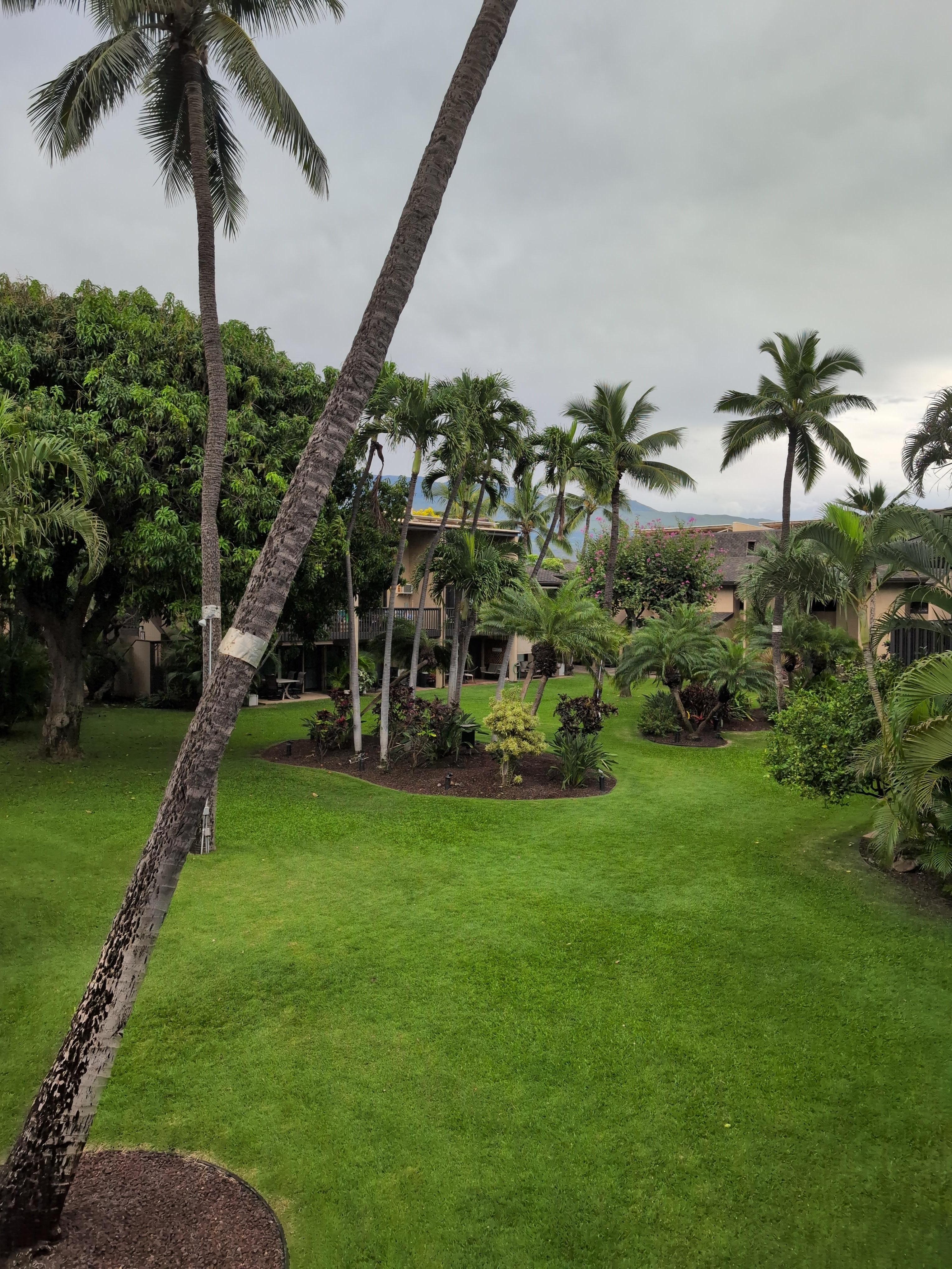 View from our balcony 