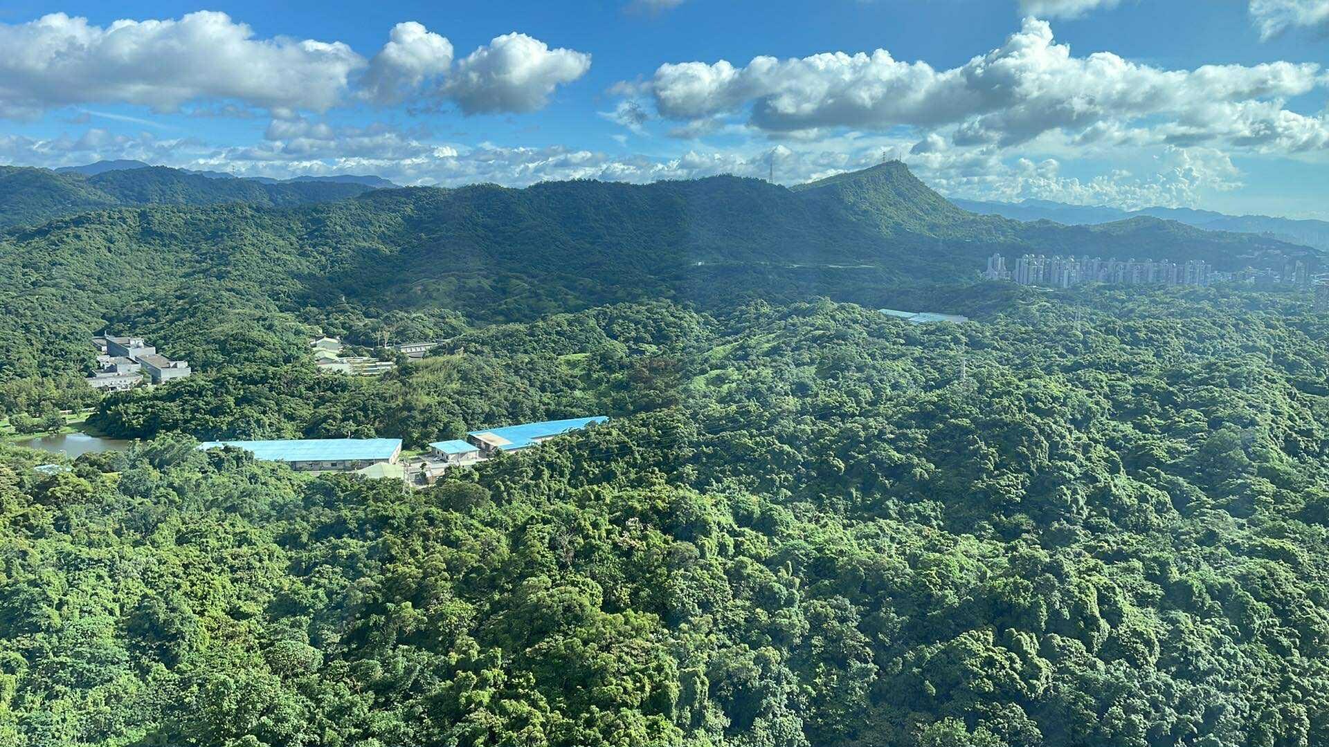 The view from my room 