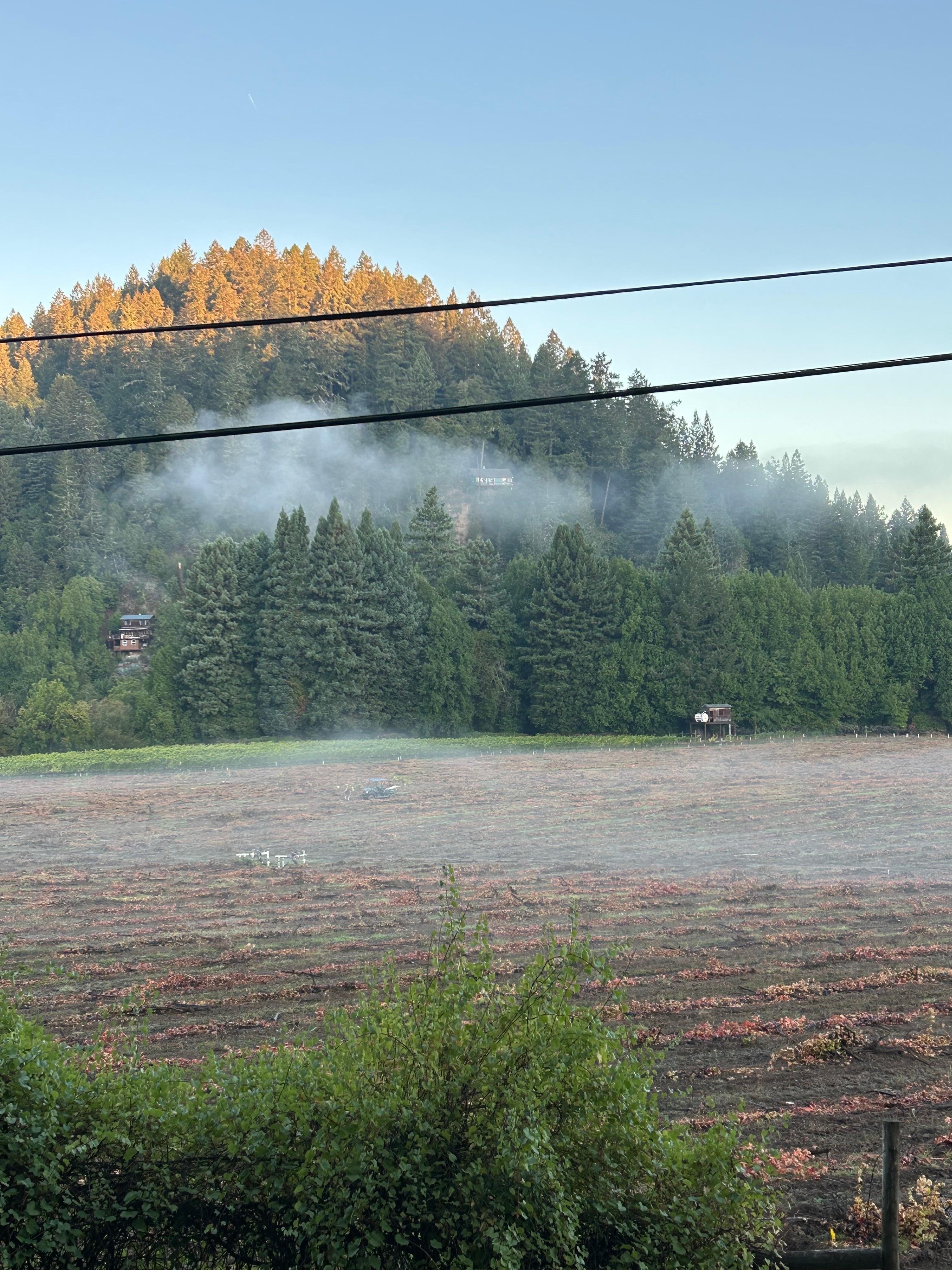 Morning view from front porch area