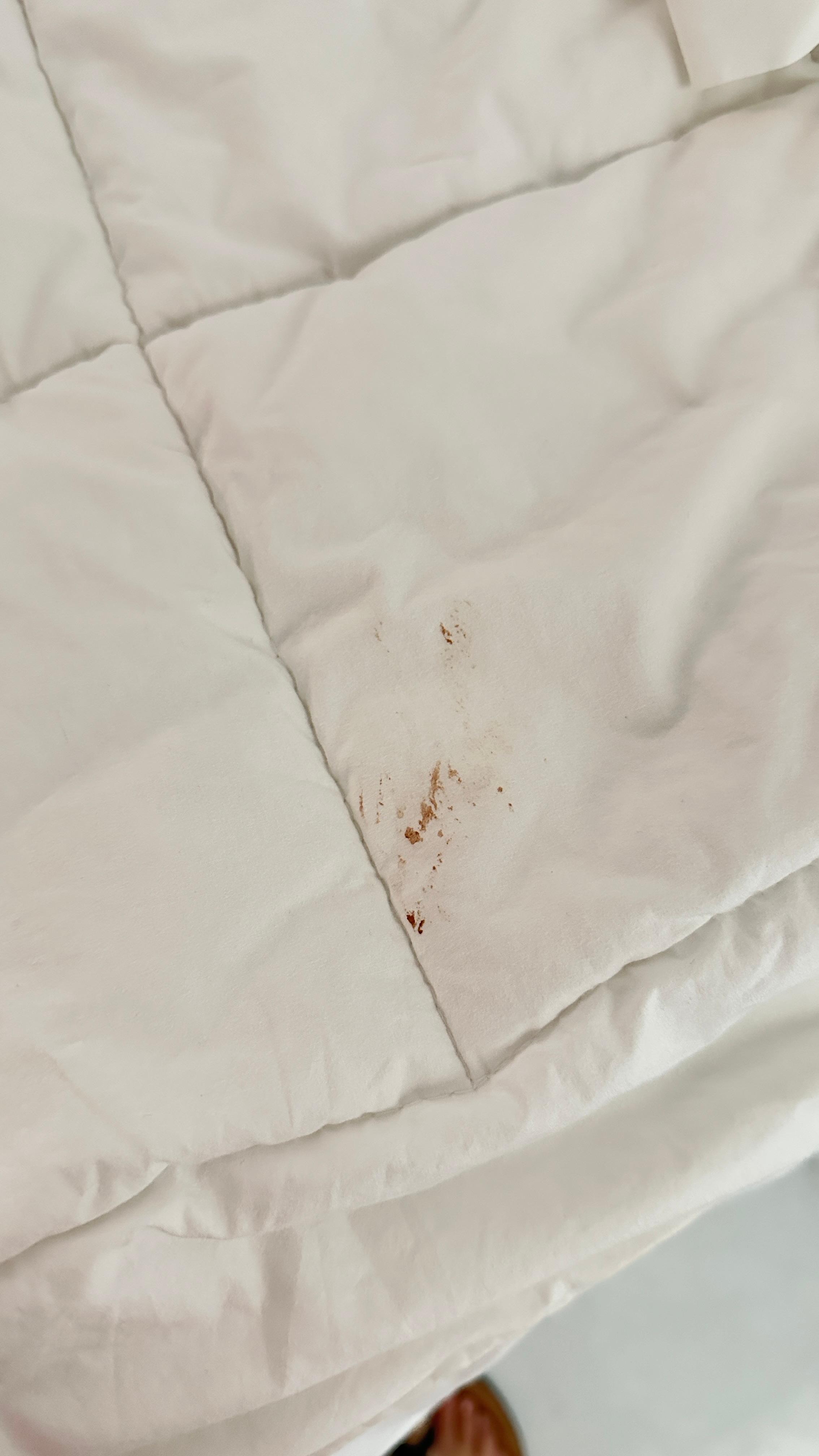 Blood stains
