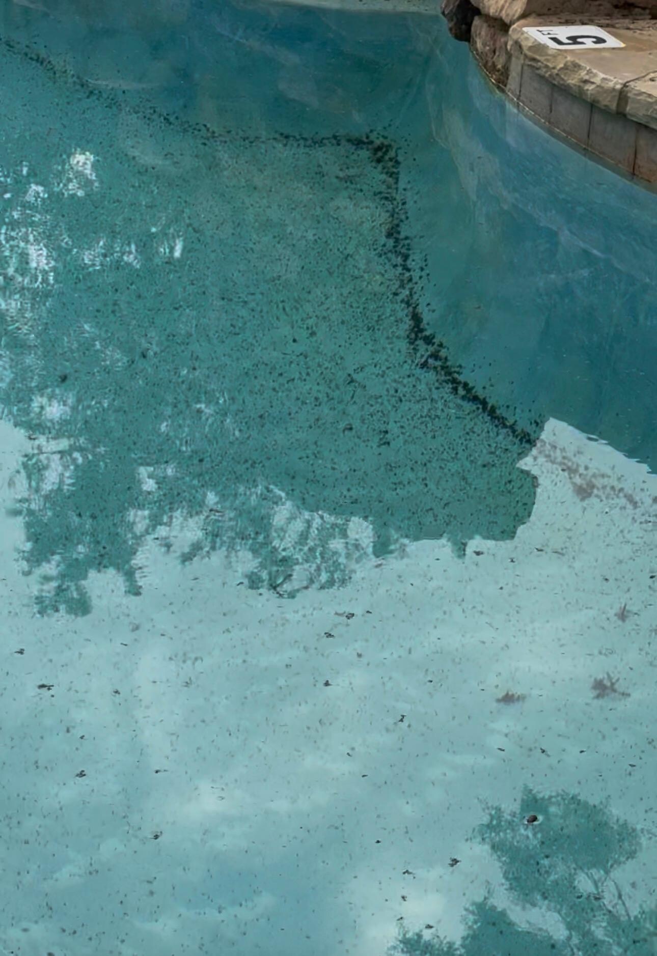 We were told the pool is clean twice a week. This was our first day at the property. They finally sent someone on our final day there to clean it a little too late.