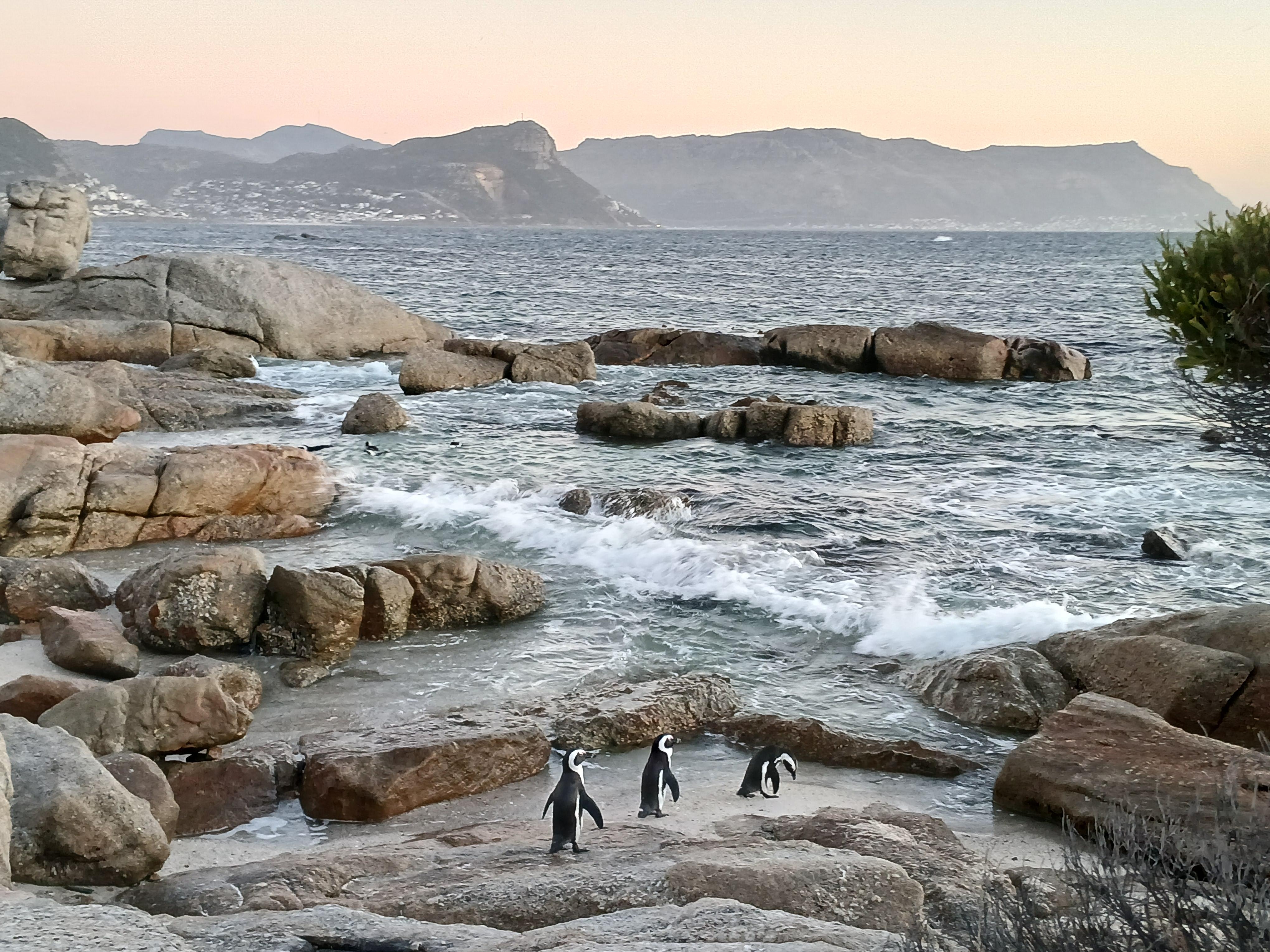Boulders Beach