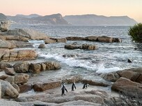 Boulders Beach