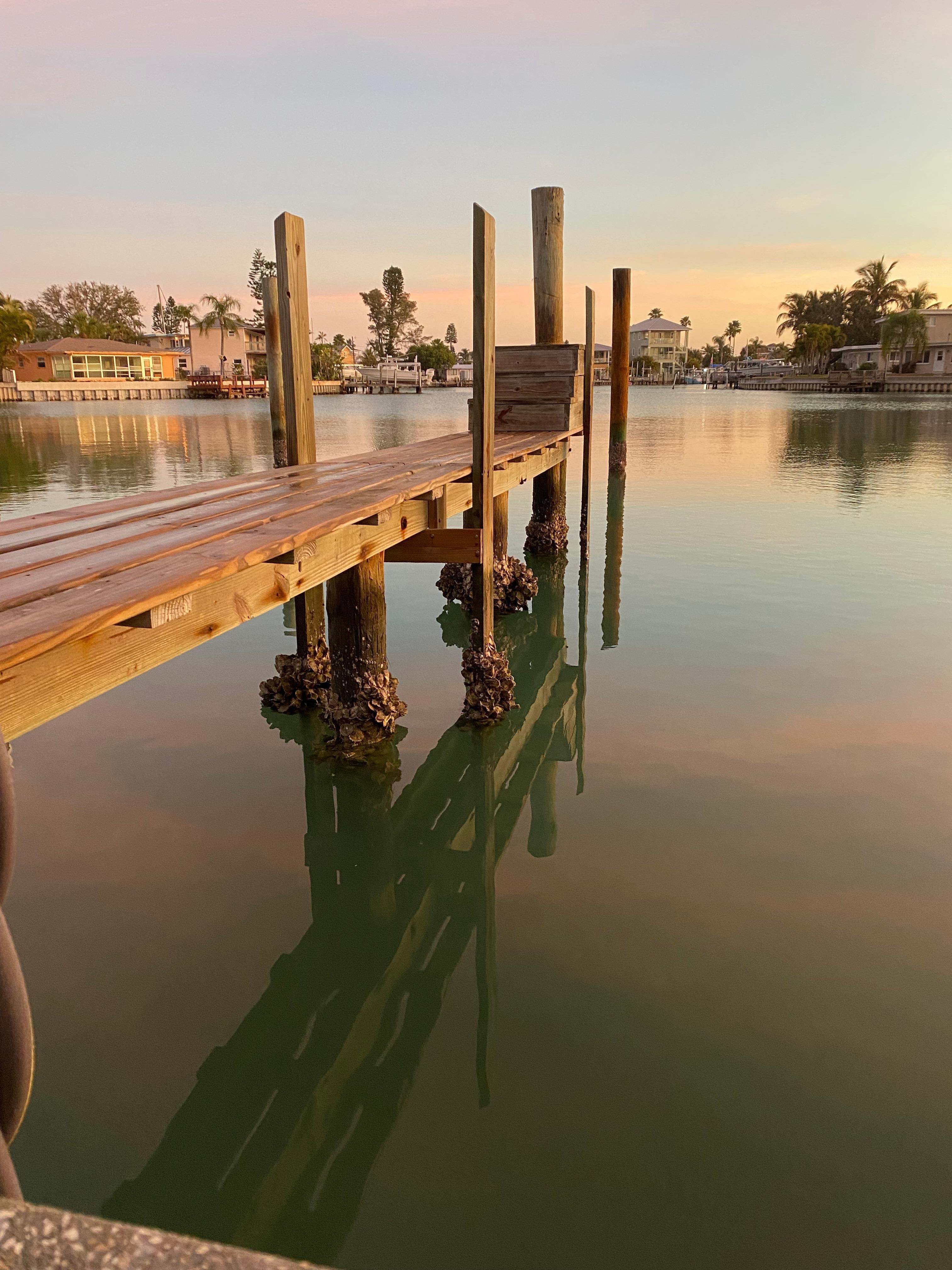 Looking from the back yard. 
