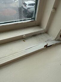 Who doesnt love a nice green booger shining in the window.