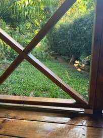 View from front of cabin