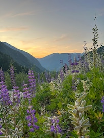 View from the grounds near the hot tub