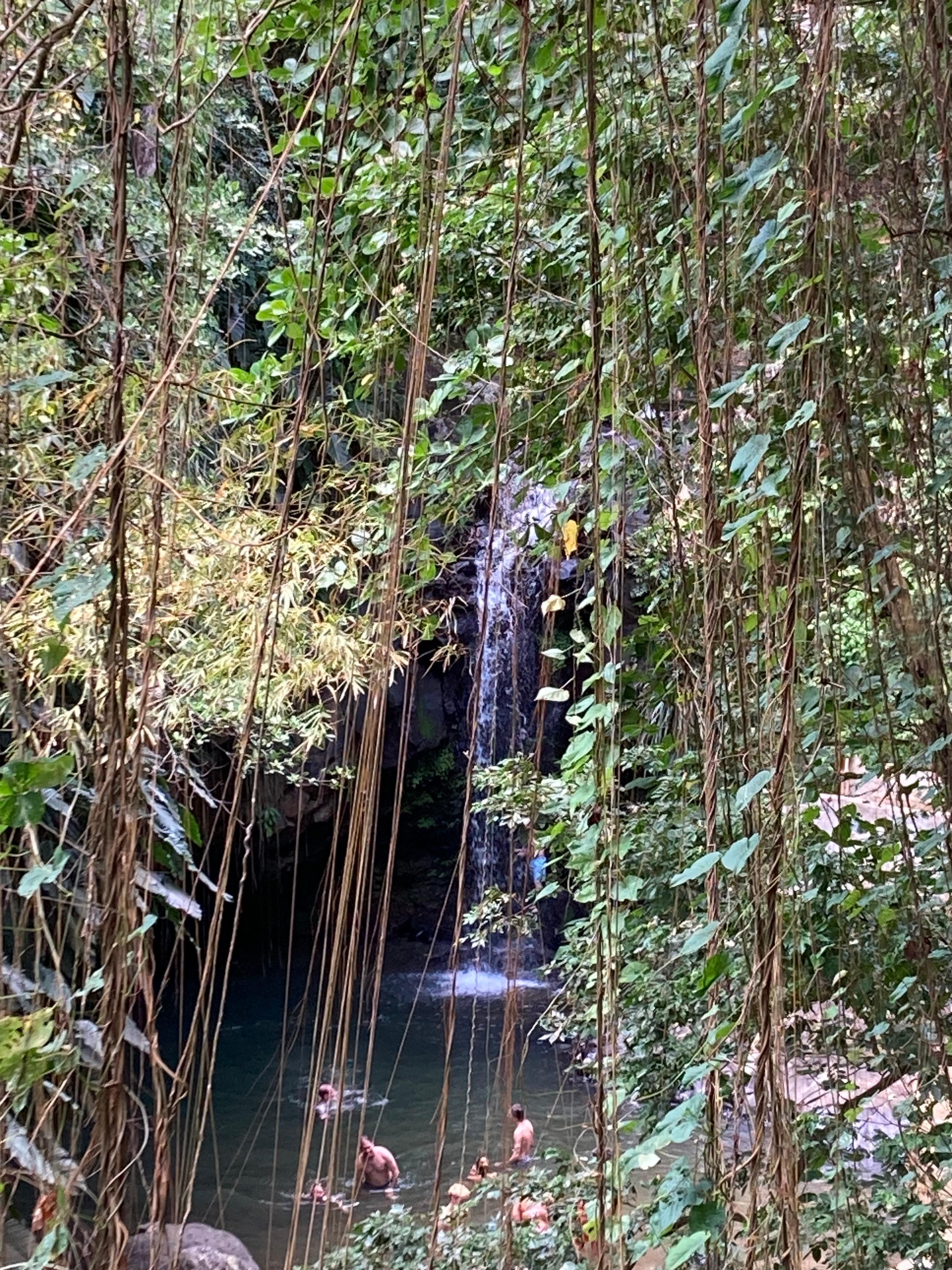 Annandale Water  Falls 