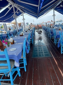 Pelican restaurant in Pafos