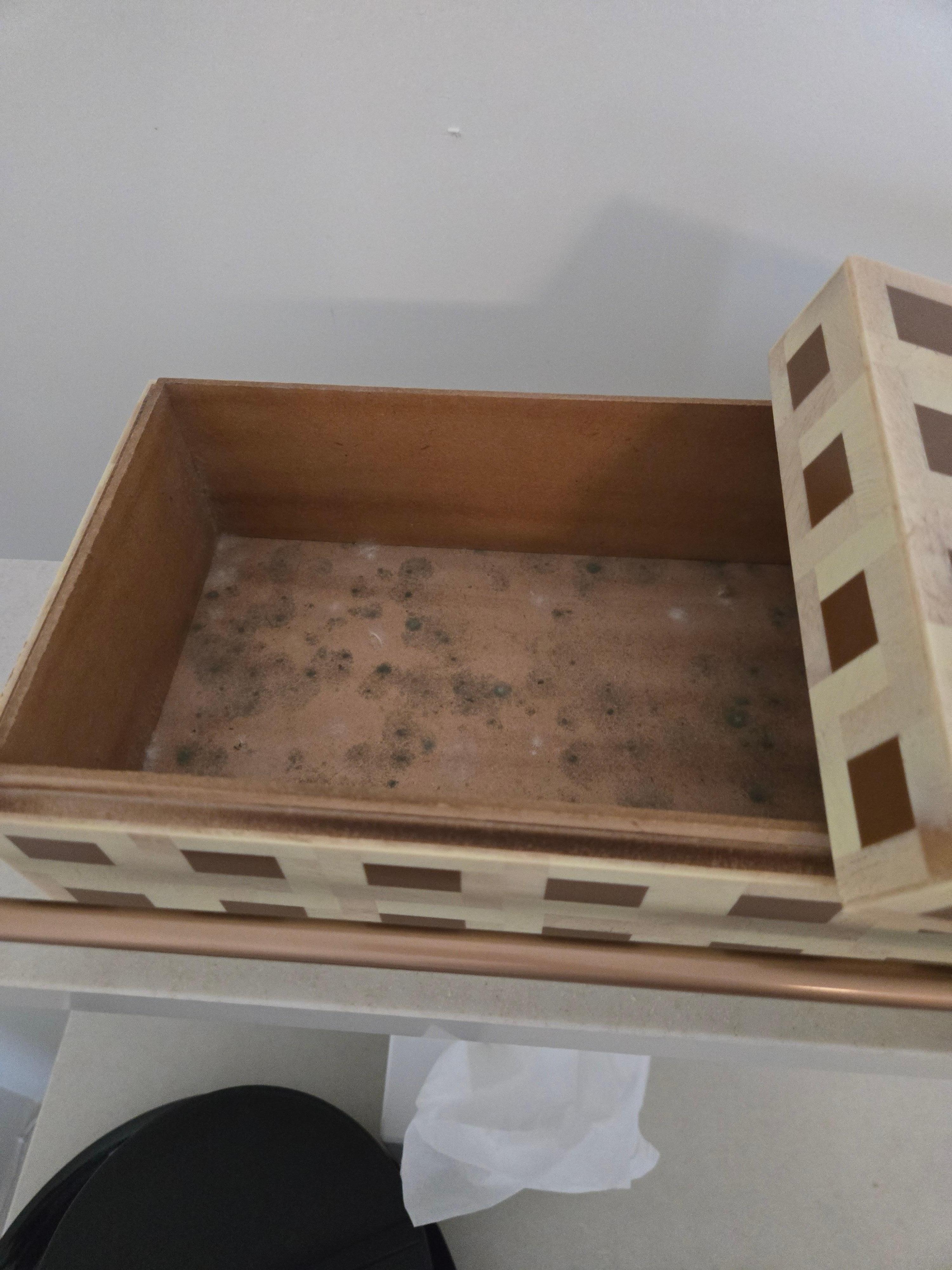 Mold in a decorative box that was on the dresser