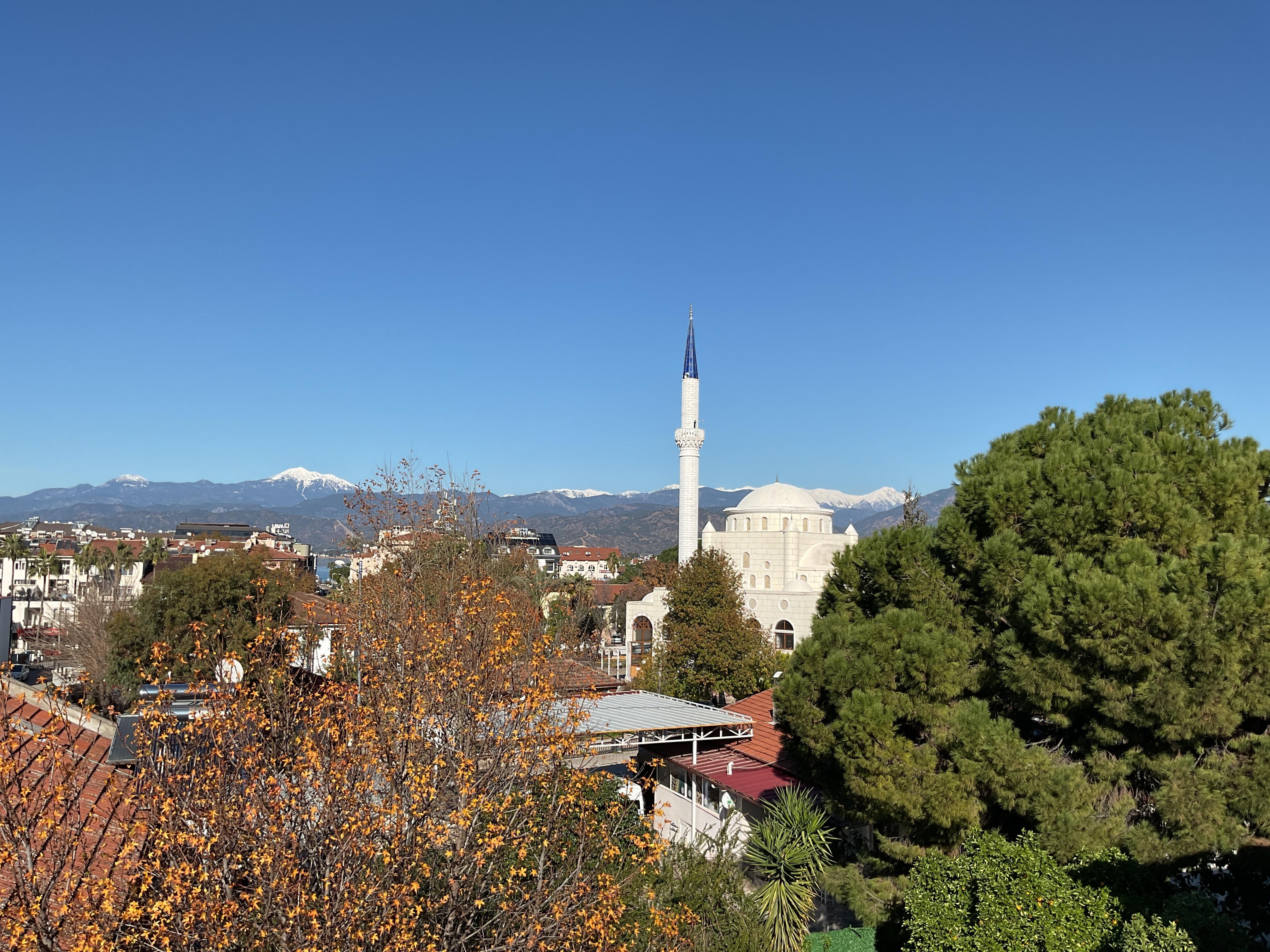 The view from the rooftop patio
