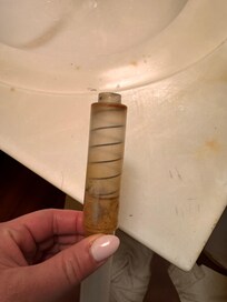 Toilet paper holder, rusted.