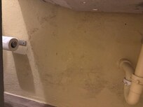 Looks as if mold growing under sink.