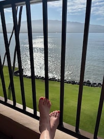 enjoying warmth and sunshine