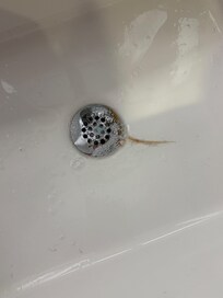 Hair in sink.